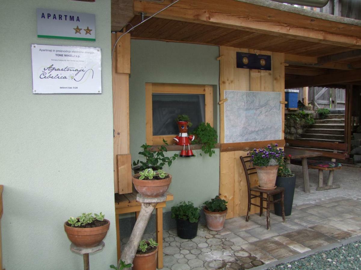 Apartments Cebelica Bohinj Luaran gambar
